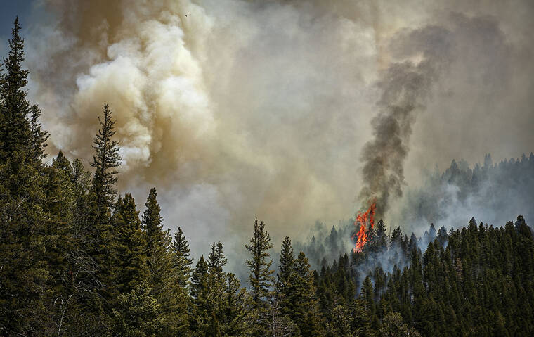 JIM WEBER/SANTA FE NEW MEXICAN VIA AP / MAY 13
                                Fire rages along a ridgeline east of highway 518 near the Taos County line as firefighters from all over the country converge on Northern New Mexico to battle the Hermit’s Peak and Calf Canyon fires.