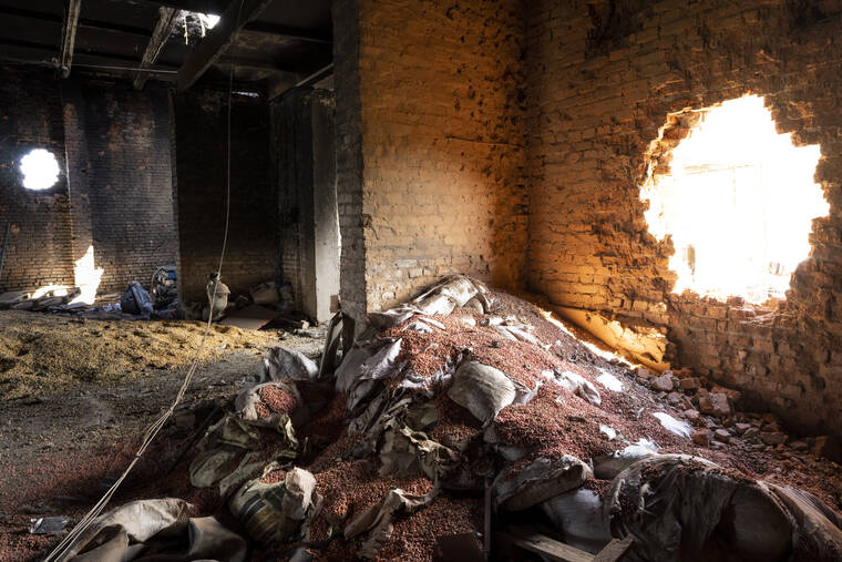 BERNAT ARMANGUE / AP
                                Scattered grain sits inside a warehouse damaged by Russian attacks in Cherkaska Lozova, outskirts of Kharkiv, eastern Ukraine, Saturday.