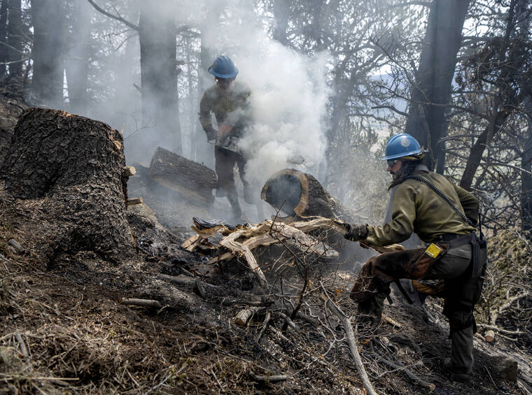 THE ALBUQUERQUE JOURNAL / AP
                                Carson Hot Shots Henry Hornberger, left, and Tyler Freeman cut up a hollow tree that was burning on the inside, Monday, as they and their co-workers work on hot spots from the Calf Canyon/Hermits Peak Fire in the Carson National Forest west of Chacon, N.M.