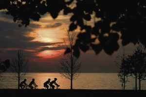 ASSOCIATED PRESS
                                Four cyclists navigate the bike trail along Lake Michigan shortly after sunrise.