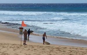 ED LYNCH / ELYNCH@STARADVERTISER.COM
                                A beachgoer takes a photo as two surfers check the waves at Sandy Beach before going out this morning. High surf and dangerous current warning signs were posted along the beach as a high surf advisory for all south shores remains in effect until Thursday morning.