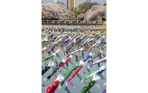 JAPAN NEWS-YOMIURI
                                <strong>RIVER OF </strong><strong>CELEBRATION</strong>: Colorful carp streamers “swam” in the air over Japan’s Tsuruudagawa river as Someiyoshino cherry blossoms bloomed in the background in Tatebayashi, Gunma prefecture. About 4,000 of the fish-shaped wind socks were hung for the Koinobori no Sato Matsuri festival at five locations across the city, as part of Japan’s annual Children’s Day celebration May 5. The festival ran through May 15.