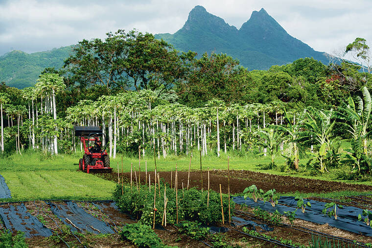 Kokua Line: Why not give more farm grants worth less money?