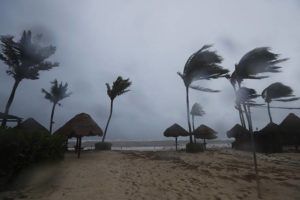 ASSOCIATED PRESS / AUG. 19
                                Palm trees are buffeted by the winds of Hurricane Grace in Playa del Carmen, Quintana Roo state, Mexico.