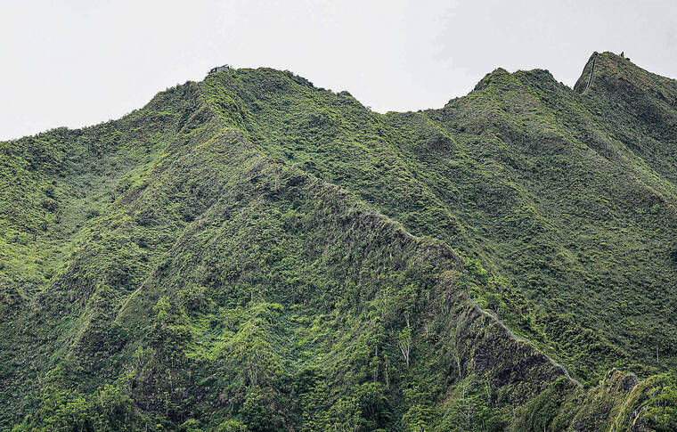 JAMM AQUINO/JAQUINO@STARADVERTISER.COM
                                A view of the Haiku Stairs in the Koolau mountains in Kaneohe.