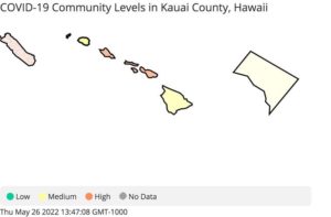 COURTESY CDC
                                CDC said Kauai County has 612.8 cases per 100,000 people, an admissions rate of 8.3 per 100,000, and 7.7% of hospital beds used by patients confirmed with COVID-19.