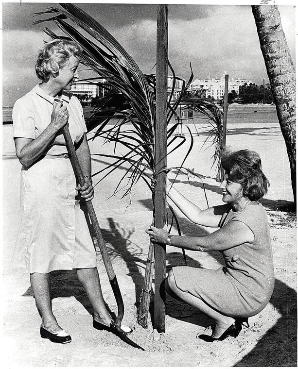 STAR-ADVERTISER / 1964
                                Outdoor Circle members plant trees to observe Arbor Day. Mrs. Harold Erdman, left, tree-planting chair, and Mrs. William Blackfield, Circle president, pose with a palm planted in Waikiki.