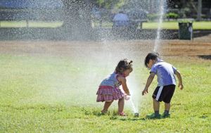 STAR-ADVERTISER
                                Two year olds Pearl Michael and Shaun Agawa are fascinated and delighted by the lawn sprinklers at Makiki District Park.