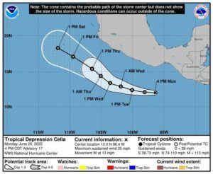 NATIONAL HURRICANE CENTER
                                The 5-day forecast track for Tropical Depression Celia.