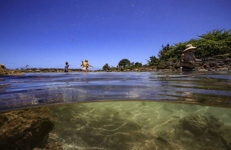 JAMM AQUINO / JAQUINO@STARADVERTISER.COM
                                Visitors enjoy the tidepools on at Shark’s Cove in Pupukea in 2021. The cove is part of the Pupukea Marine Life Conservation District on the North Shore.