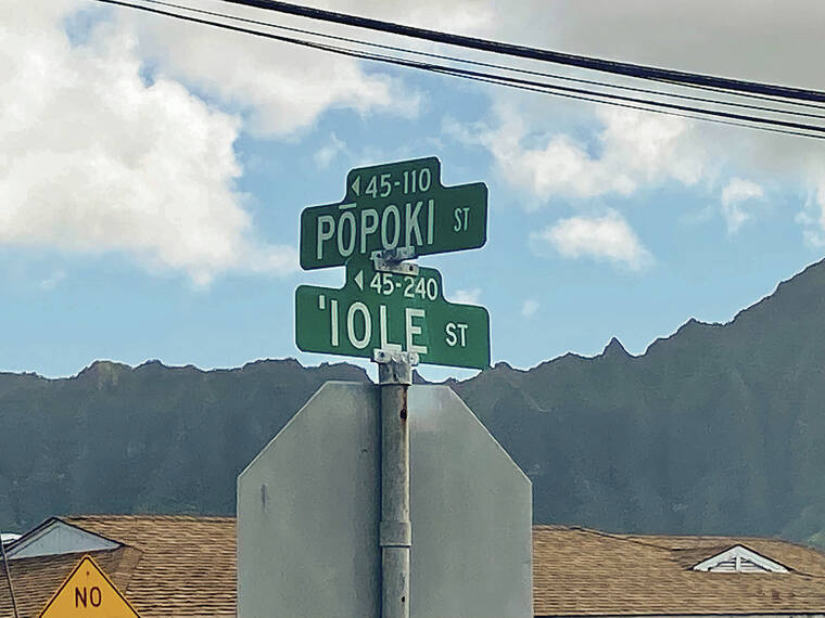 BOB SIGALL PHOTO
                                In Kaneohe, Popoki Street meets Iole Street. In Hawaiian, they mean “cat” and “mouse.”