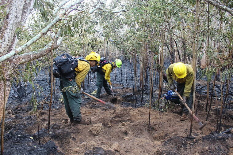 COURTESY HAWAI‘I VOLCANOES NATIONAL PARK
                                Crews continue working to mop up smoldering patches in the interior of the fire at Mauna Loa at Hawai‘i Volcanoes National Park.