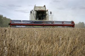 Ukrainian wheat bound for Africa as Russian rockets fall in Donetsk