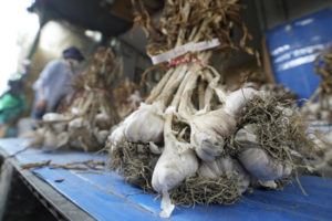 ASSOCIATED PRESS
                                Bulbs of garlic are displayed at a shop in a traditional market in Seoul, South Korea, Wednesday. A rural South Korean town is hot water over its video ad on garlic that some farmers say is obscene and has even sexually objectified the agricultural product.