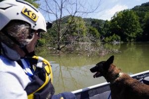 BRYNN ANDERSON / AP
                                A human remains detection K9 dog named Crush, looks out of the front of a boat in a water search with Jackie Johnson in Carr Creek Lake on Wednesday, Aug. 3, near Hazard, Ky.