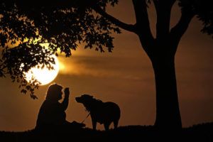 ASSOCIATED PRESS
                                A woman plays with a dog at sunset, Saturday, Nov. 6, 2021, at a park in Kansas City, Mo. In August, health officials are warning people who are infected with monkeypox to stay away from household pets, since the animals could be at risk of catching the virus.