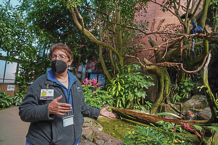 PITTSBURGH POST-GAZETTE / TNS / APRIL 29
                                Janet Robb, above, the 2021 Aviary Volunteer of the Year at the National Aviary in Pittsburgh.