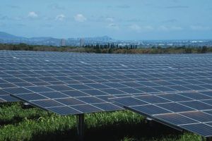 CRAIG T. KOJIMA / AUG. 2
                                Photovoltaic panels at Mililani Solar I.
