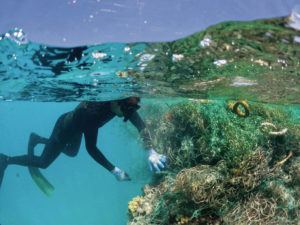 PAPAHANAUMOKUAKEA MARINE DEBRIS PROJECT 
                                A diver removes derelict fishing net at Kamokuokamohoali‘i.