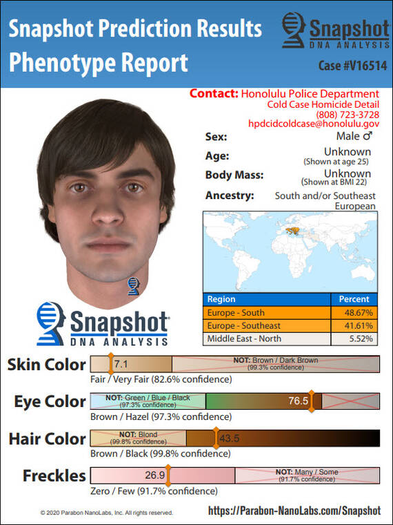 COURTESY HPD
                                Using DNA evidence from this investigation, Parabon NanoLabs produced trait predictions for a person of interest in the Nancy Elaine Anderson fatal stabbing case, Honolulu police said. Individual predictions were made for the subject’s ancestry, eye color, hair color, skin color, freckling, and face shape. By combining these attributes of appearance, a Snapshot composite was produced depicting what the the suspect may have looked like at 25 years old.