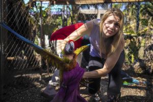 ROBERT BUMSTED / AP
                                Alexis Highland handles a parrot at the Malama Manu Sanctuary in Pine Island, Fla., Tuesday, Oct. 4. The birds had to be rescued from the sanctuary after Hurricane Ian swept through the area.