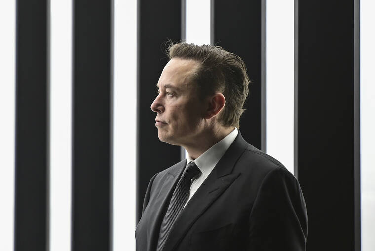 Elon Musk startet bezahltes Twitter-Audit und feuert Vorstand