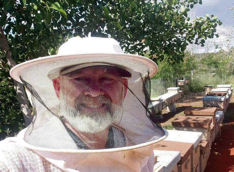 Tech View: Easing limits on beekeepers will help build food security
