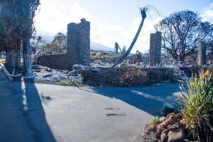 Off the news: Keep tabs on Maui wildfire survivors