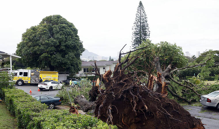 Gusty winds and showers pummel Hawaii, cutting power and downing trees