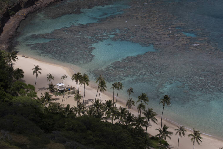 Senate rejects bill granting rights to watersheds, reefs