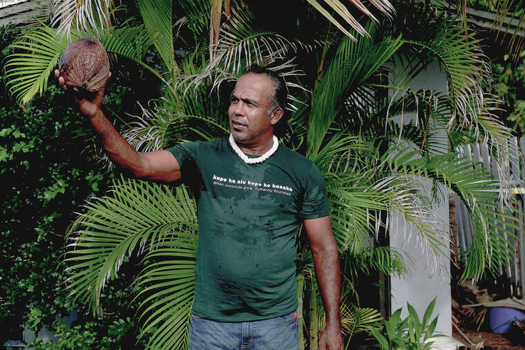 Fighting coconut rhinoceros beetles one grove at a time