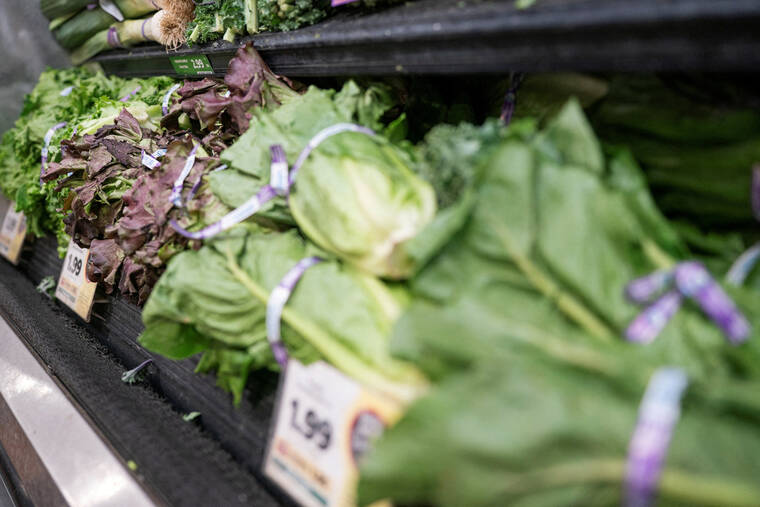 REUTERS/NATHAN HOWARD
                                Lettuce is displayed for sale at a grocery store in Washington, D.C.
