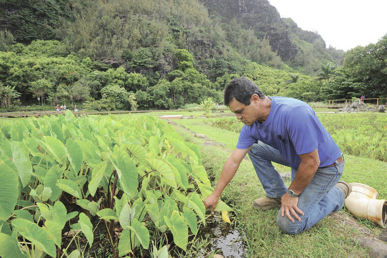 Letter: New law goes far to aid isle stewardship causes