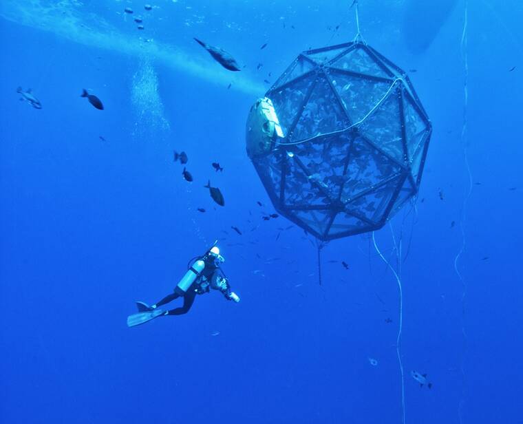 Kona-based company bringing aquaculture to Florida